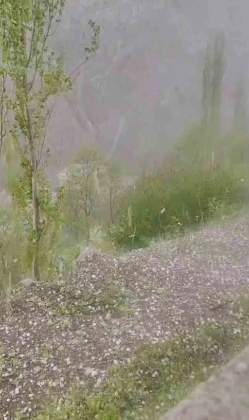 Erzurum&rsquo;da ceviz b&uuml;y&uuml;kl&uuml;ğ&uuml;nde dolu yağdı
