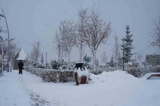 Erzurum&rsquo;da kar yağışı etkili oluyor
