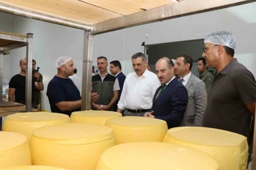 Erzurum’da kaşar üretimi yaygınlaşıyor
