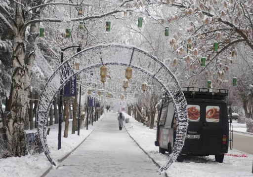 Erzurum&rsquo;da soğuk havanın etkisiyle ağa&ccedil;lar kırağı tuttu
