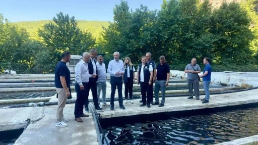 Eşen Havzası&rsquo;ndaki Alabalık tesislerinde sekt&ouml;r değerlendirmesi
