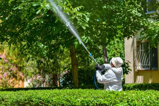 Esenyurt Belediyesi’nden ağaçlara teke böceği kalkanı
