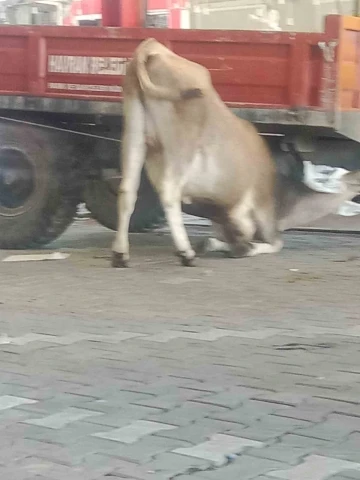 Esenyurt’ta bayram günü korkutan yangın
