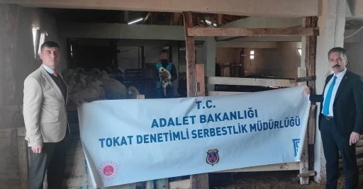 Eski hükümlü hayvancılıkla kendine yeni bir hayat kurdu
