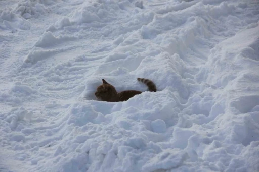 Eski kışlar geri geldi, Kızılırmak&rsquo;ın y&uuml;zeyi kısmen dondu
