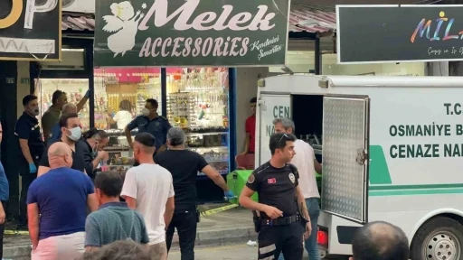 Eski sevgilisini öldürüp intihar etti
