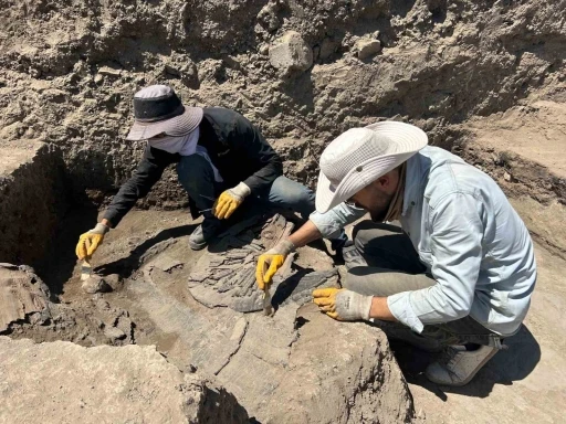 Eski Van Şehri’nde 1. Dünya Savaşı’nın izleri: Gülle ve çok sayıda mermi kovanı bulundu
