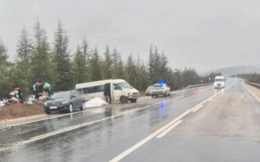 Eskişehir- Afyonkarahisar yolunda kontrolden &ccedil;ıkan minib&uuml;s şarampole savruldu
