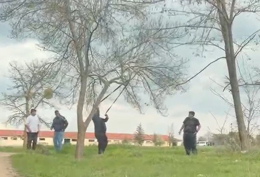 Eskişehir&rsquo;de &lsquo;mangal i&ccedil;in ağa&ccedil; dalını kırmaya &ccedil;alıştılar&rsquo; iddiası
