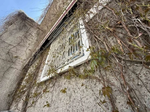 Eskişehir&rsquo;de &lsquo;Sarmaşıklı Camii&rsquo;nin dış cephesi yeşermeye başladı
