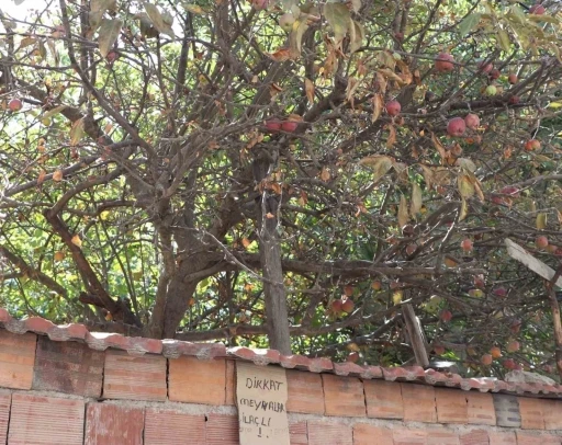 Eskişehir’de şaşırtan uyarı

