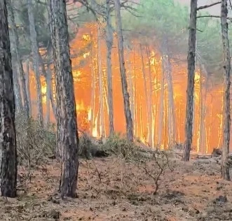 Eskişehir’deki orman yangınında 2 Denizlili ormancı şehit oldu
