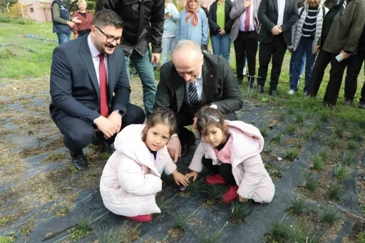 Eskişehir safran üretiminde birincilik yolunda
