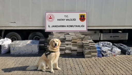 Eşya taşınan tır dorsesinden 3 bin karton ka&ccedil;ak sigara &ccedil;ıktı
