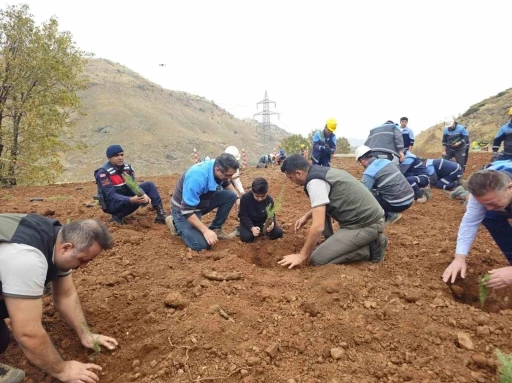 Eti Bakır’dan ağaçlandırma seferberliği

