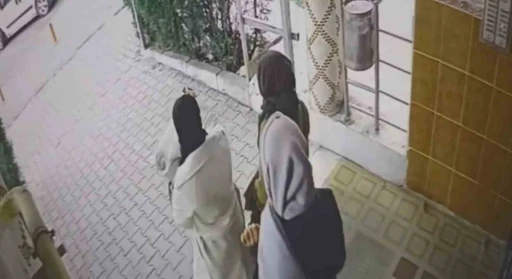 Ev fareleri kameraya yakalandı
