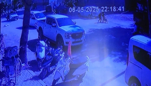 Evden kaçan köpek sokakta yürüyen kızlara saldırdı
