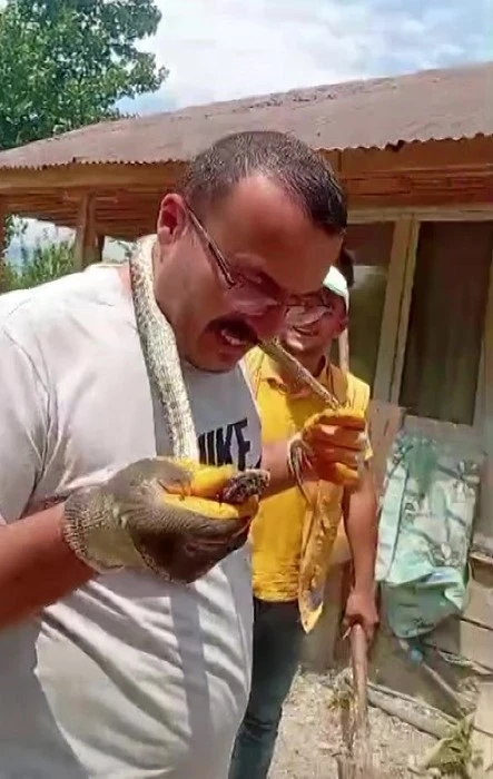 Eve giren yılanı yakalayıp boynuna sardı
