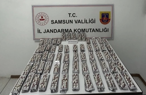 Evinde 3 bin 472 adet sentetik ecza ele geçirilen şahıs gözaltına alındı

