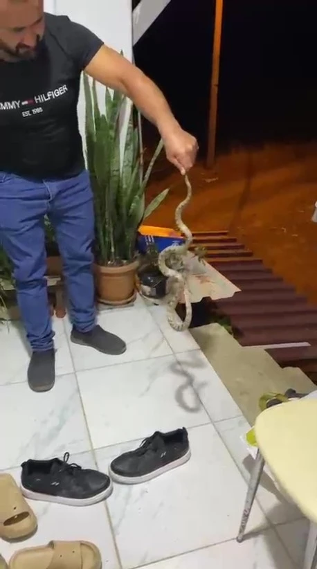 Evine giren yılanı "Evime gelme bak, kafanı ezerim" diyerek doğaya bıraktı
