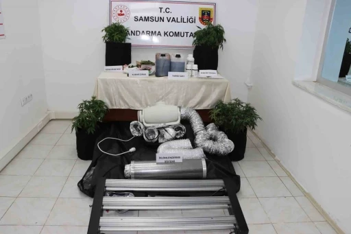 Evine iklimlendirme sistemi kurup kenevir yetiştirdi, jandarmaya yakalandı
