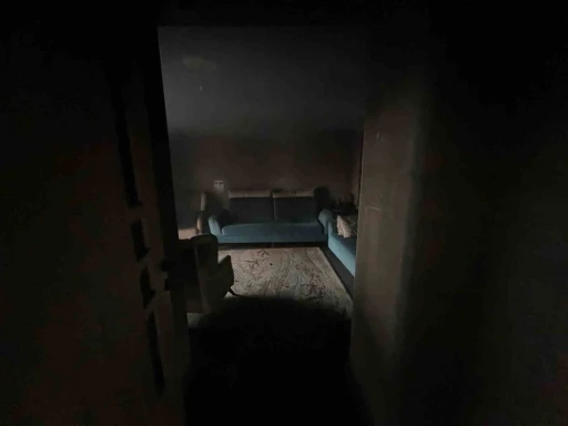 Evini ateşe verdi, ka&ccedil;arken yakalandı
