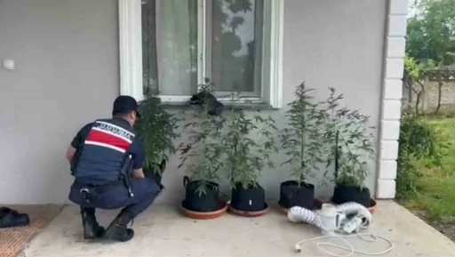 Evini kenevir bah&ccedil;esine &ccedil;eviren şahıs yakalandı
