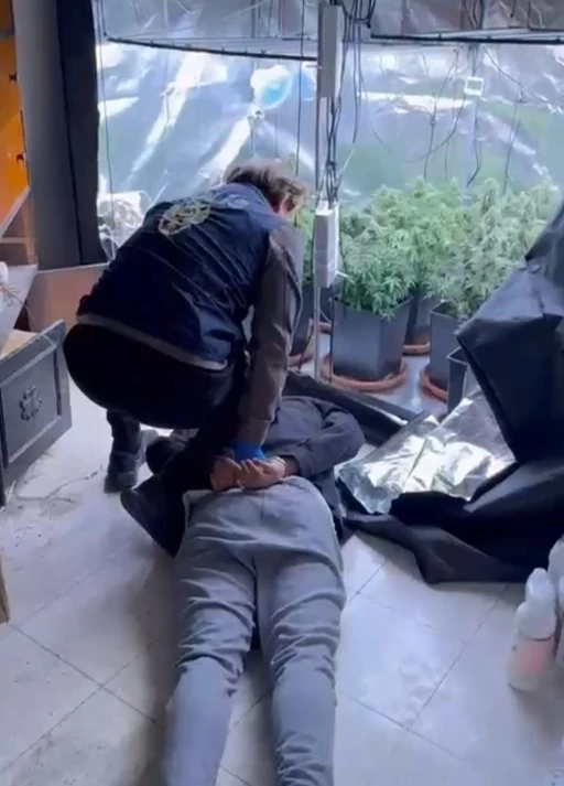 Evini uyuşturucu serasına çevirdi

