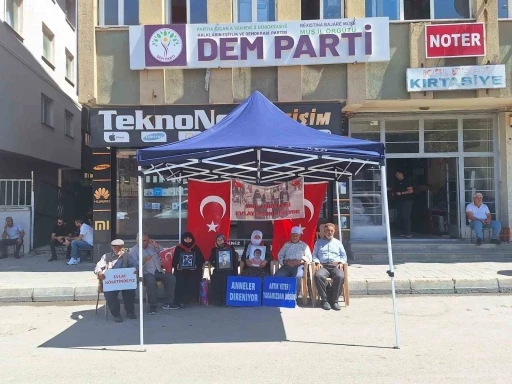 Evlat nöbetinde umutlar &quot;Terörsüz Türkiye&quot; ile arttı
