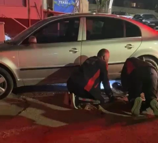 Farklı noktalarda mahsur kalan kedilere itfaiyeden yardım eli
