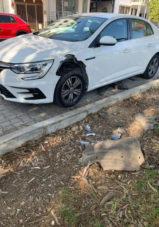 DOMUZLAR FETHİYE'DE OTOMOBİLİ PARÇALADI