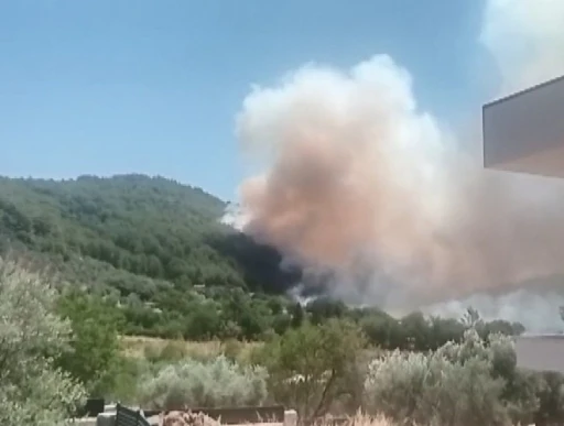 Fethiye&rsquo;de orman yangını
