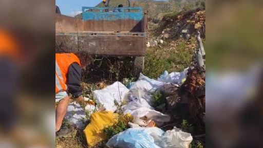 Fidan dikmeye gittiler, &ccedil;&ouml;pleri topladılar