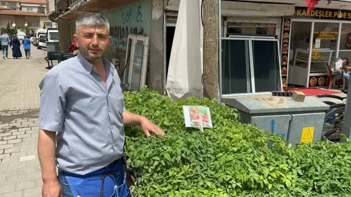Fideleri bahçesine ekenler kendi yetiştirip kendi yiyor
