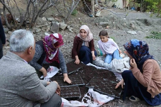 Fidelerini kendileri yetiştiriyorlar
