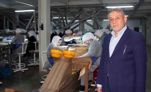 Fındık fiyatlarındaki d&uuml;ş&uuml;ş s&uuml;r&uuml;yor: G&ouml;zler yeni sezonda
