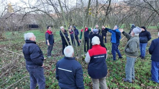 Fındıkta verim ve kalite artırılıyor
