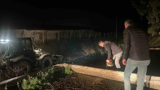 Fırtına mezarlıkta ağa&ccedil;ları devirdi, belediye ekipleri anında m&uuml;dahale etti
