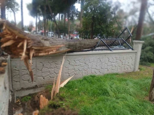 Fırtına Tavas&rsquo;ta hayatı fel&ccedil; etti
