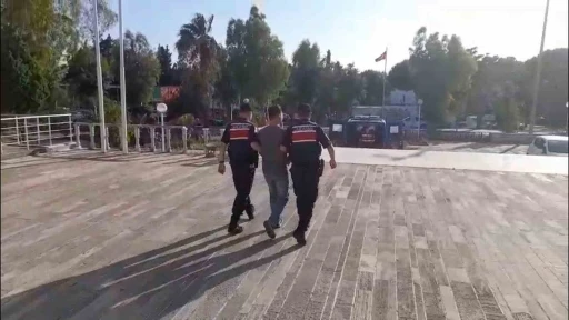 Foça’daki orman yangınıyla ilgili 1 tutuklama
