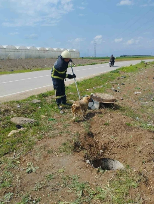 Fosseptik çukurundan gelen köpek sesi itfaiye ekiplerini harekete geçirdi
