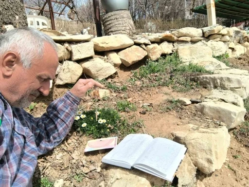Frekanslarını ölçerek şifalı bitkileri araştırıyor, kayıt altına alıyor
