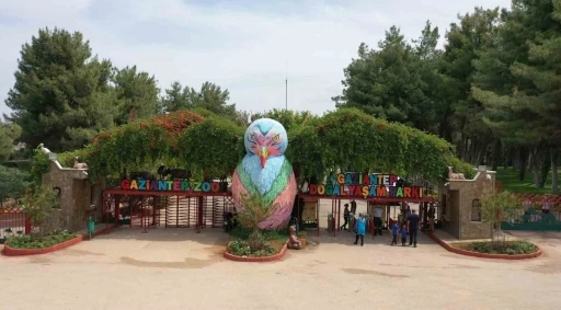 Gaziantep Doğal Yaşam Parkı’na &quot;Afrika Savanı&quot; ve &quot;Yırtıcı Adası&quot; geliyor

