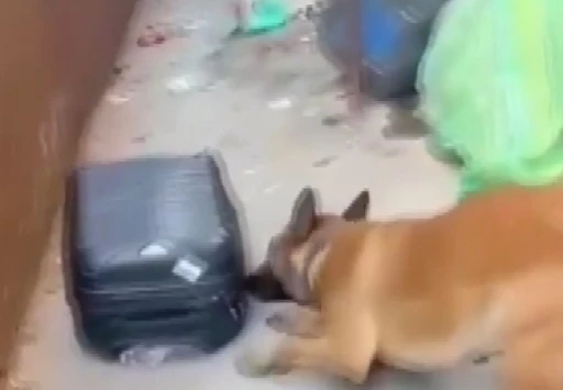 Gaziantep’te 950 gram metamfetimin ele geçirildi: 3 şahıs tutuklandı
