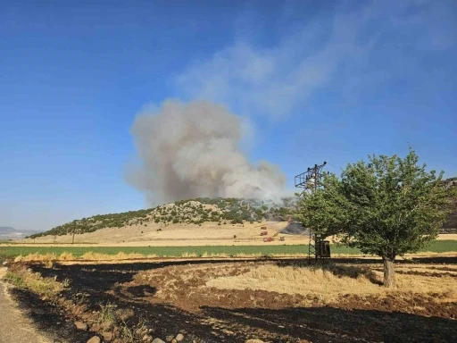 Gaziantep’te anız yakarken suçüstü yakalanan şahsa 47 bin TL ceza
