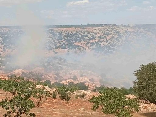 Gaziantep’te fıstık ve zeytin bahçelerinde yangın
