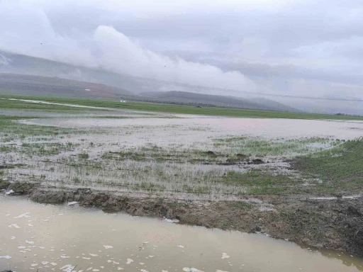 Gaziantep&rsquo;te tarım arazileri su altında kaldı
