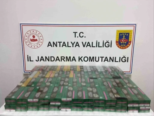 Gazipaşa’da 2 bin paket kaçak sigara ele geçirildi
