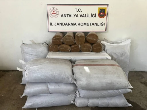 Gazipaşa’da 800 kilo bandrolsüz tütün ele geçirildi
