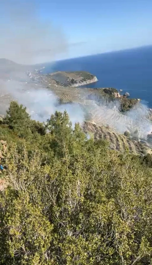 Gazipaşa’da muz bahçesindeki yangın makilik alana sıçradı
